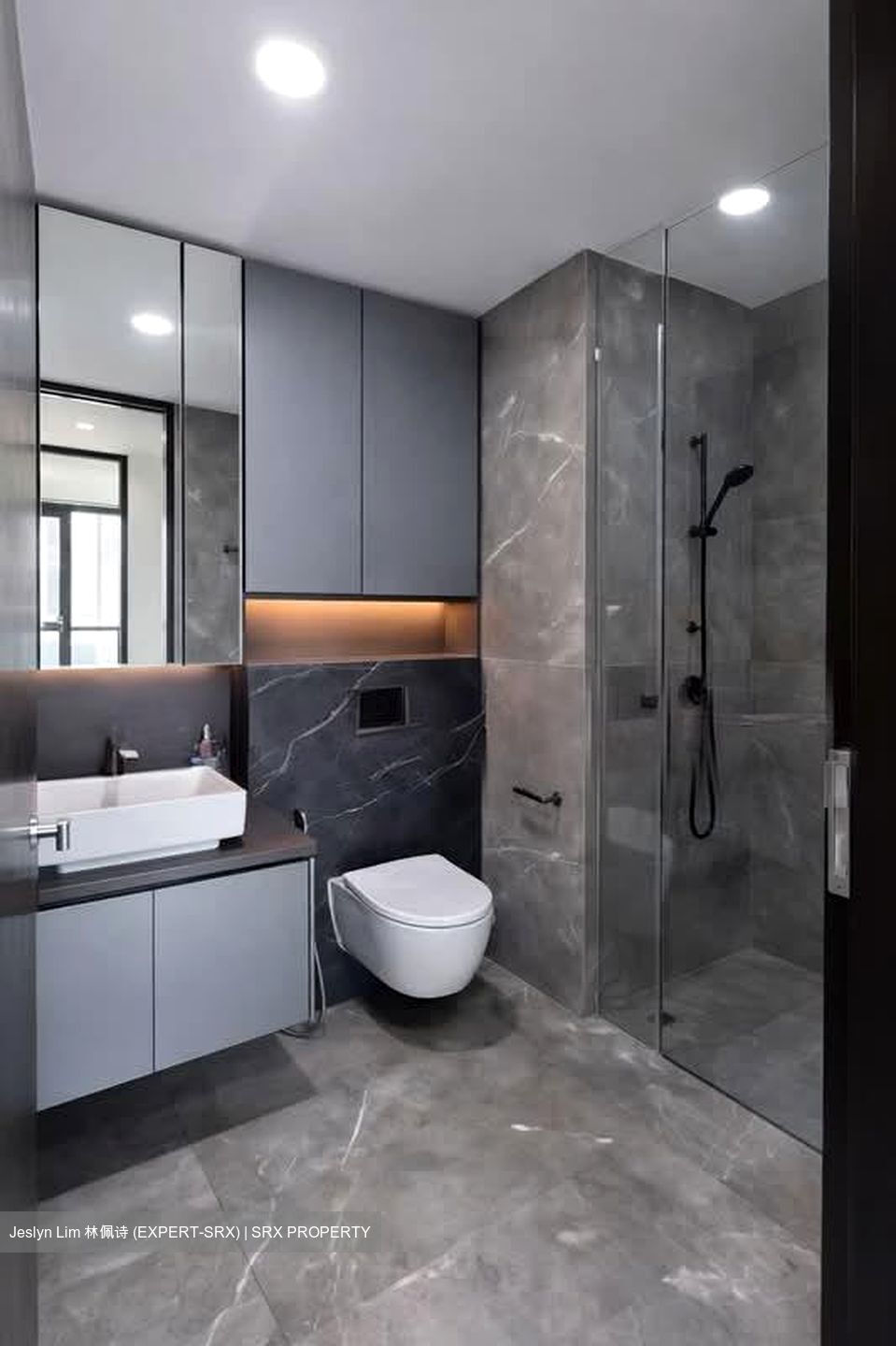 Irwell Hill Residences (D9), Apartment #551275611